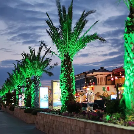 Arena Complex 圣弗拉斯